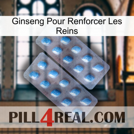 Ginseng For Reinforcing Kidney viagra4